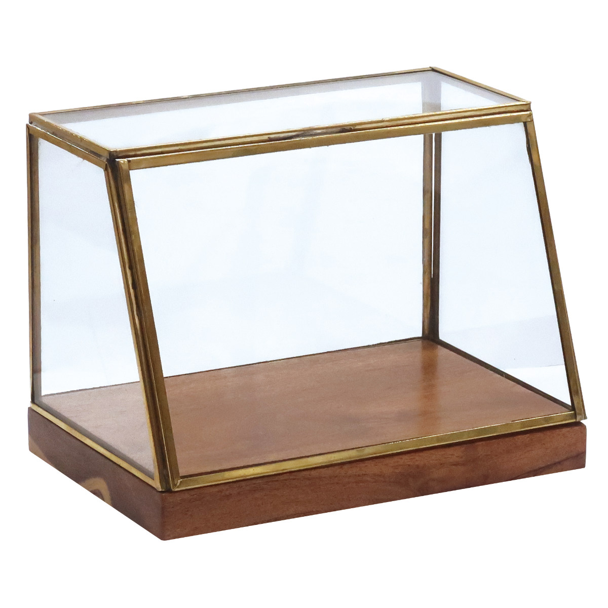 Creer ショーケース アルテン ブラスショーケース L 天然木 アイアン