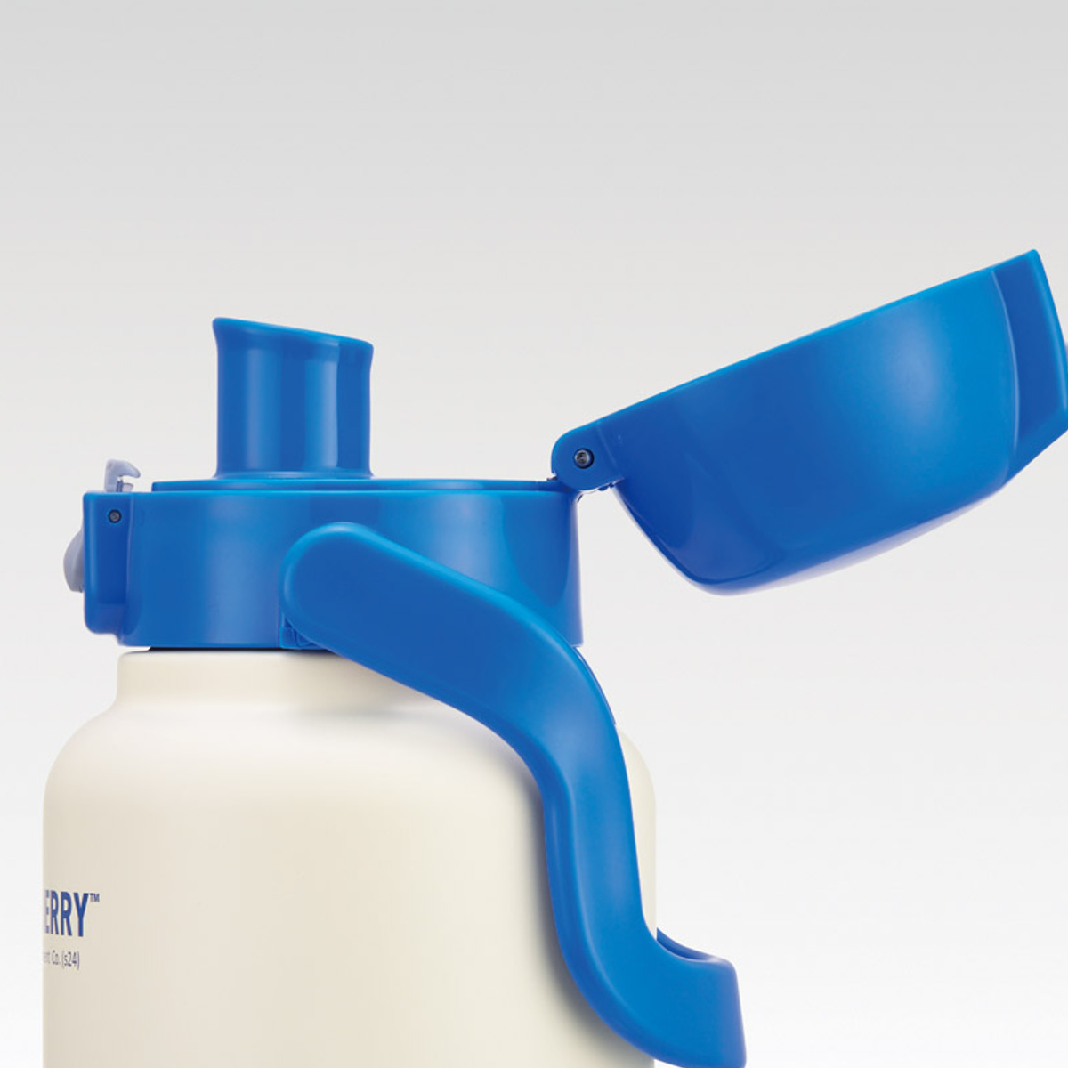 スケーター 水筒 1L ハンドル付ダイレクトボトル トムジェリおひるね