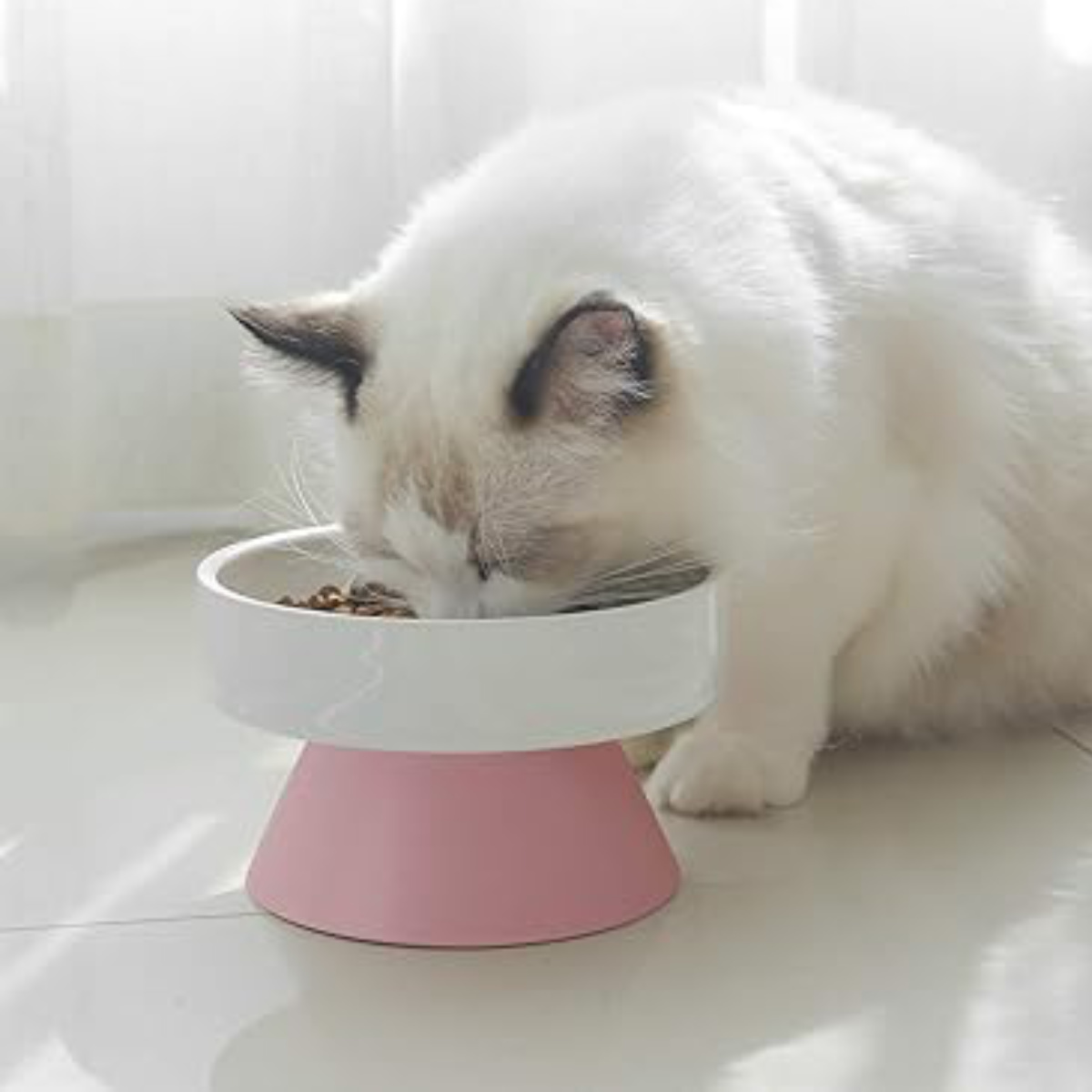 フードボウル たっぷりボウル 犬 猫 （ ペットボウル 脚付き 高さが