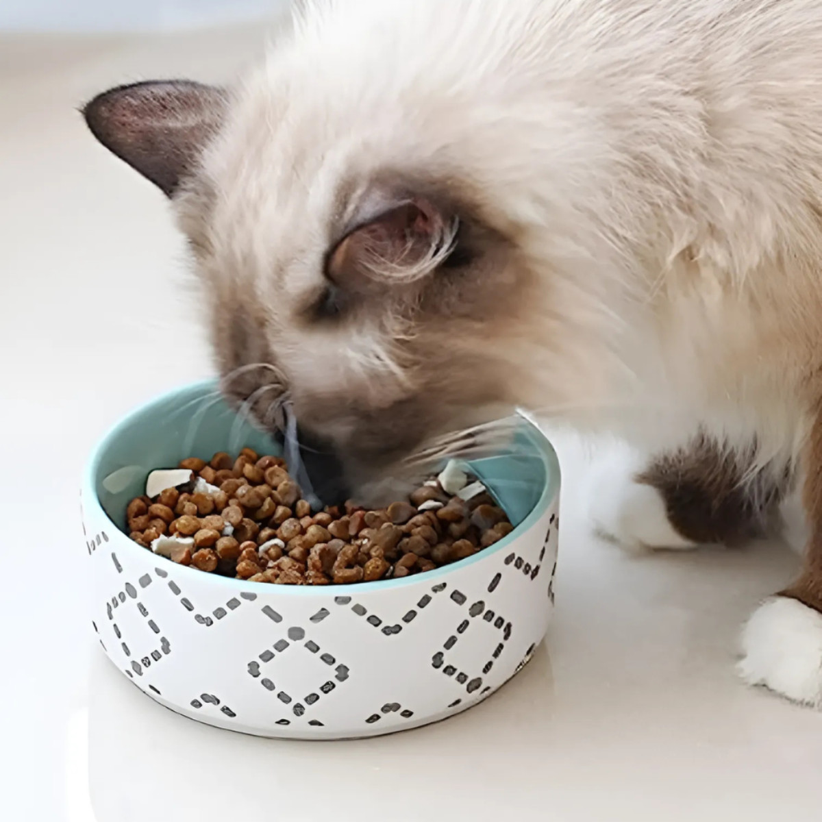 フードボウル 北欧ボウル 2個入り 犬 猫 （ ペットボウル 2個 ペット皿