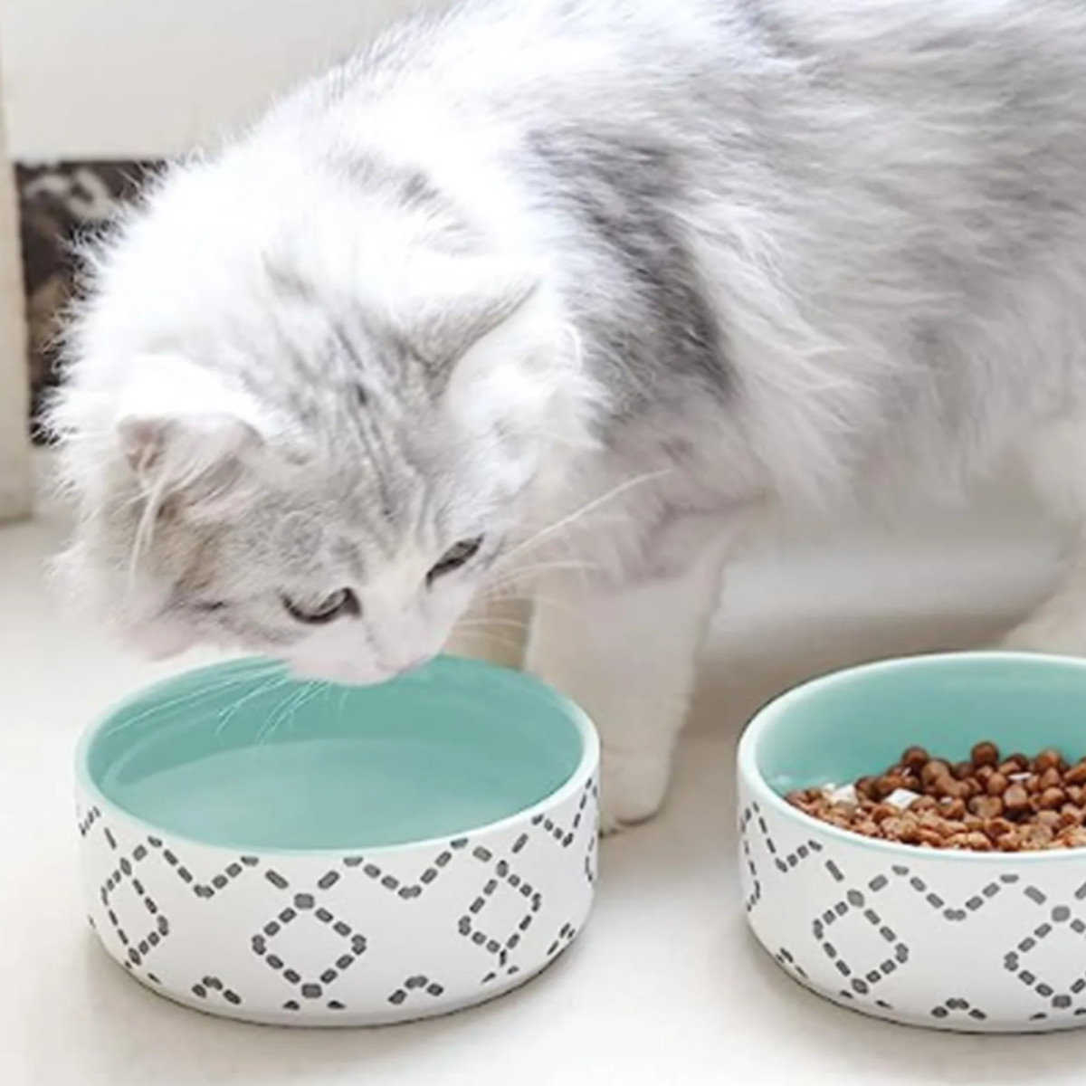 フードボウル 北欧ボウル 2個入り 犬 猫 （ ペットボウル 2個 ペット皿