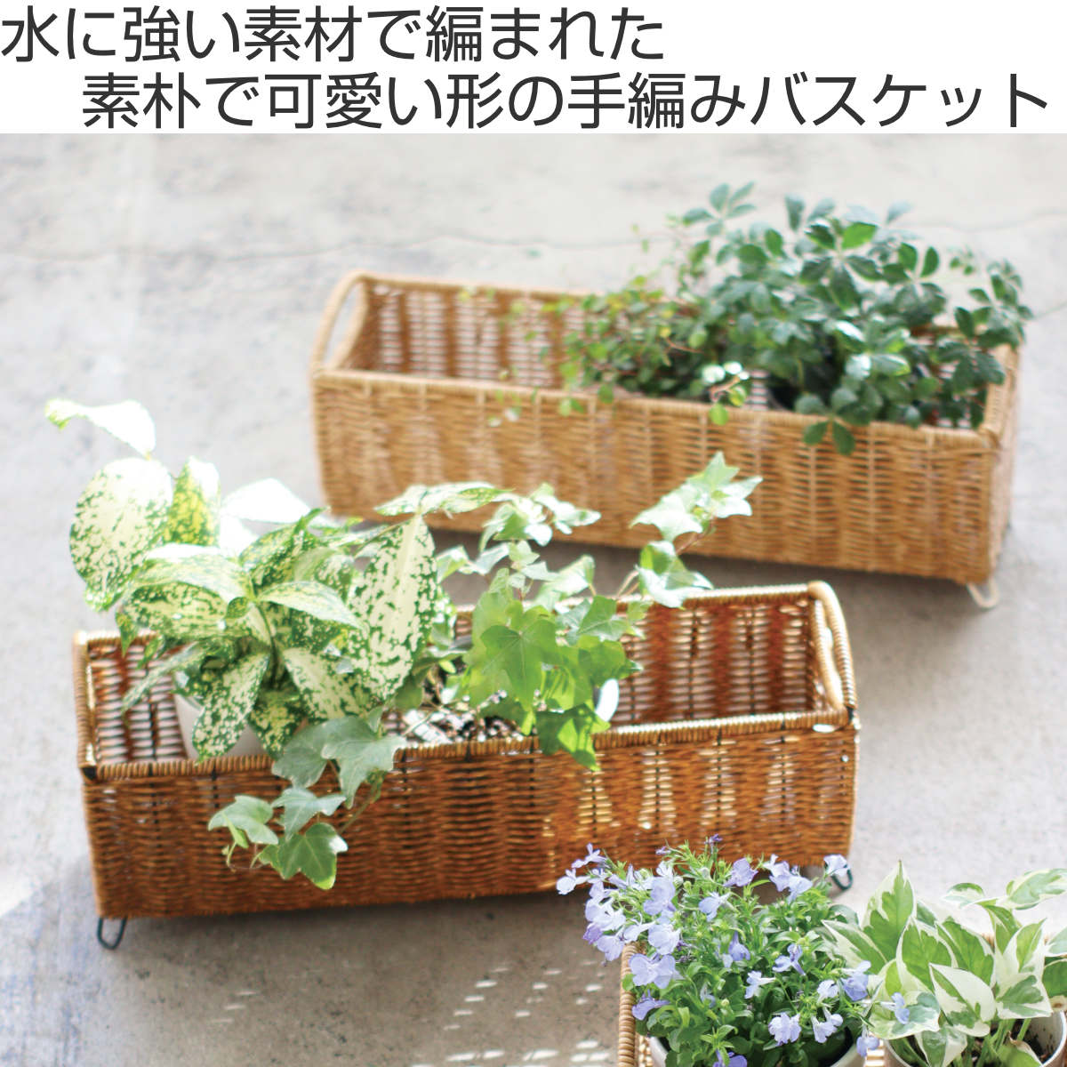 479724-img.jpg