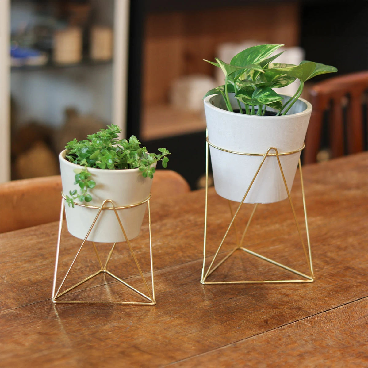 花瓶・フラワースタンド ecru- Creer フラワースタンド インブルーム ラインポットスタンド L