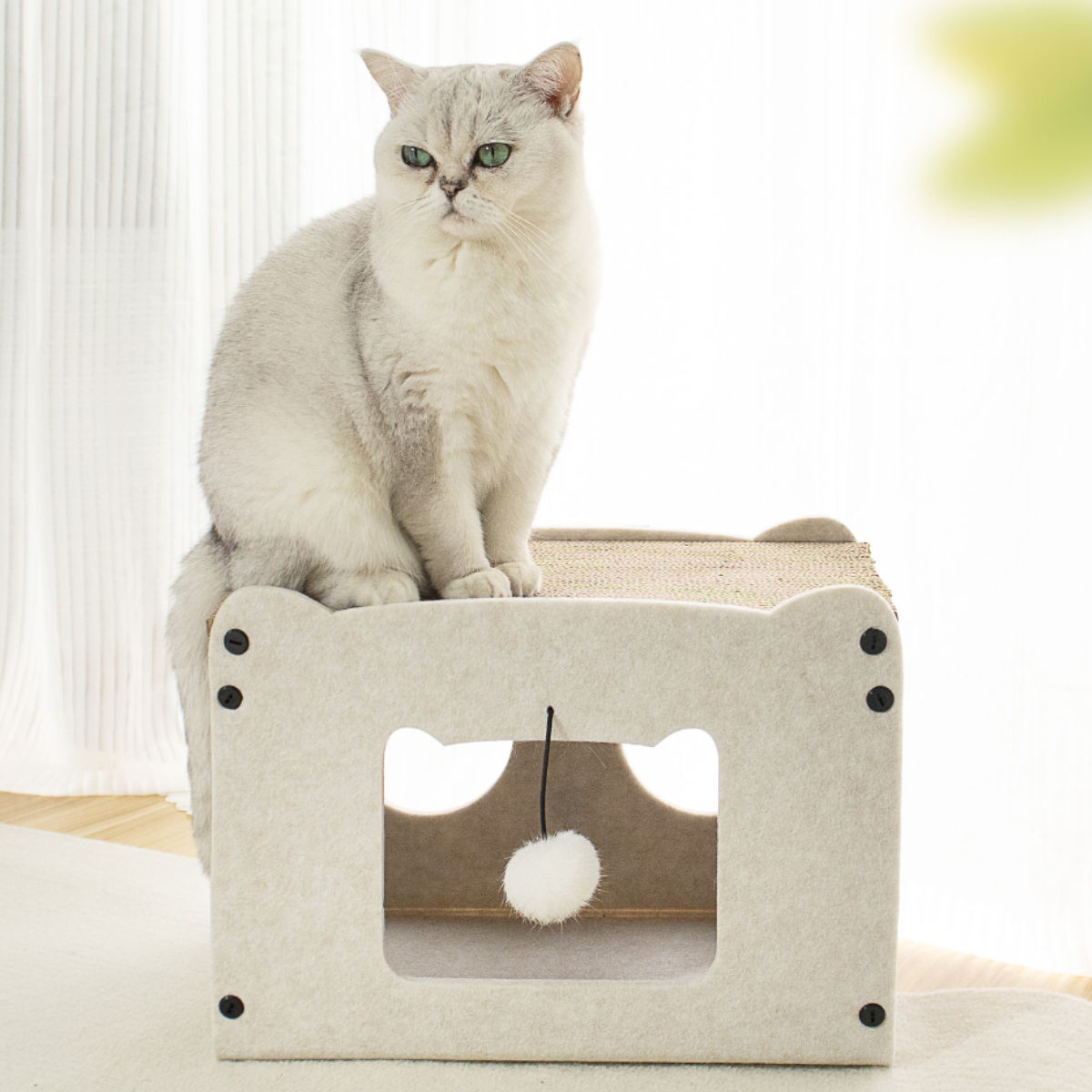 ネコセット　ペットハウス　トイレ　爪研ぎ　等 ニトリ（NITORI） 爪とぎハウス BOX (ホワイトウォッシュ) : ニトリ