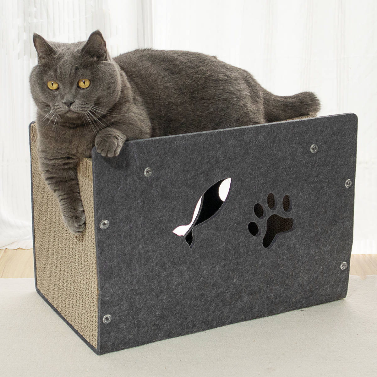 ペットハウス フロッキーカメラ 爪とぎ （ 爪研ぎ つめとぎ ハウス 猫