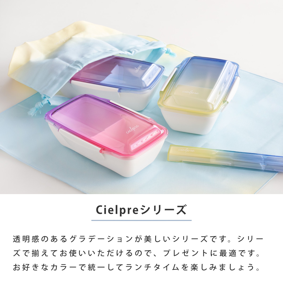 弁当箱 500ml シエルプレ 1段 ランチボックス （ Cielpre お弁当箱 食