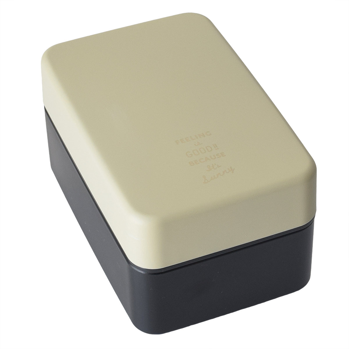 弁当箱 800ml FIG 塗2段ランチボックス （ お弁当箱 ランチボックス 食