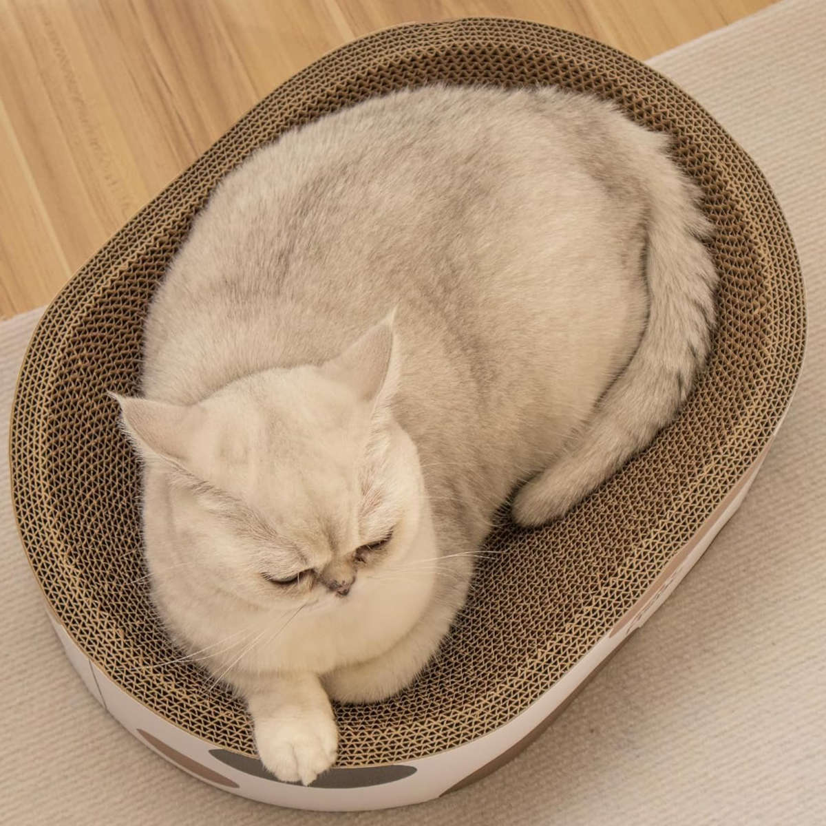 爪とぎ 楕円ボウル 三毛 猫 段ボール （ 爪研ぎ つめとぎ 猫用 爪とぎ