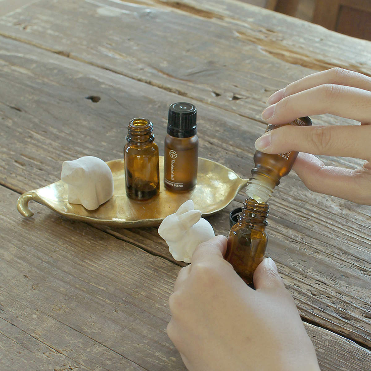 キシマ（KISHIMA） アニマルエッセンシャルオイルキャップ アロマ