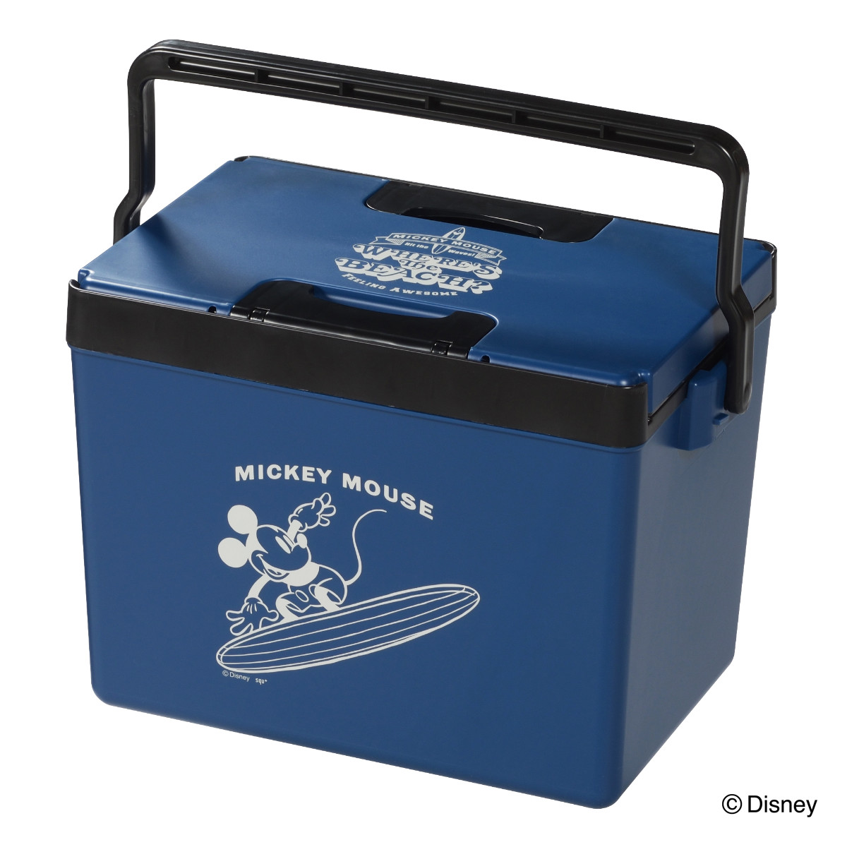Disney store ミッキーマウス 温冷庫 本体 SANKA クーラーボックス 12L ディズニークールボックス2 ミッキー プー
