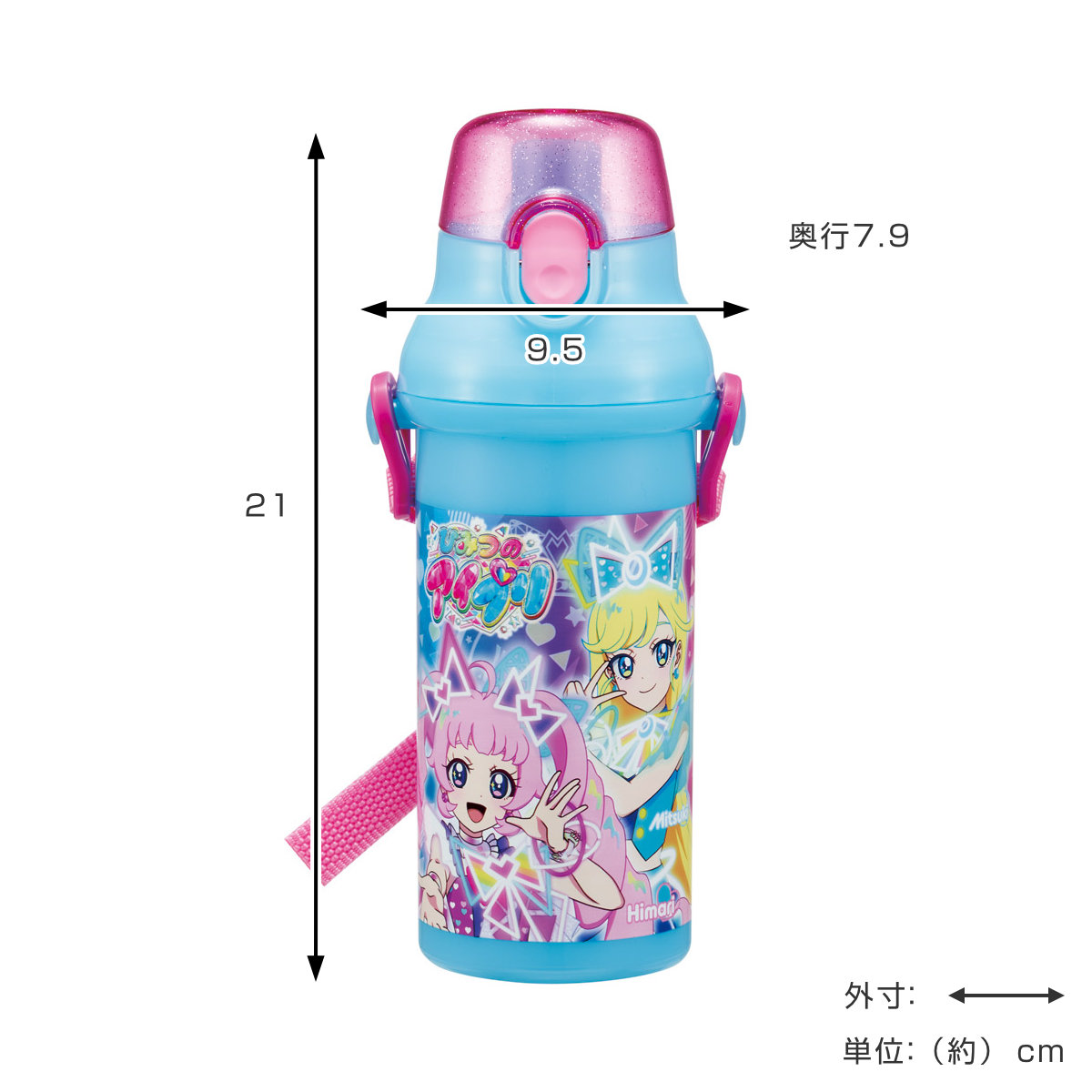 スケーター 水筒 480ml 抗菌直飲プラボトル ひみつのアイプリ