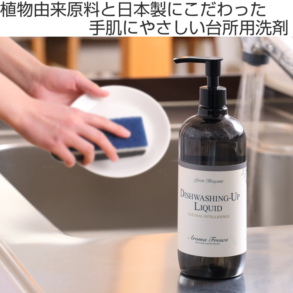 フジイ 食器用洗剤 Aroma Fresco ディッシュウォッシングアップ