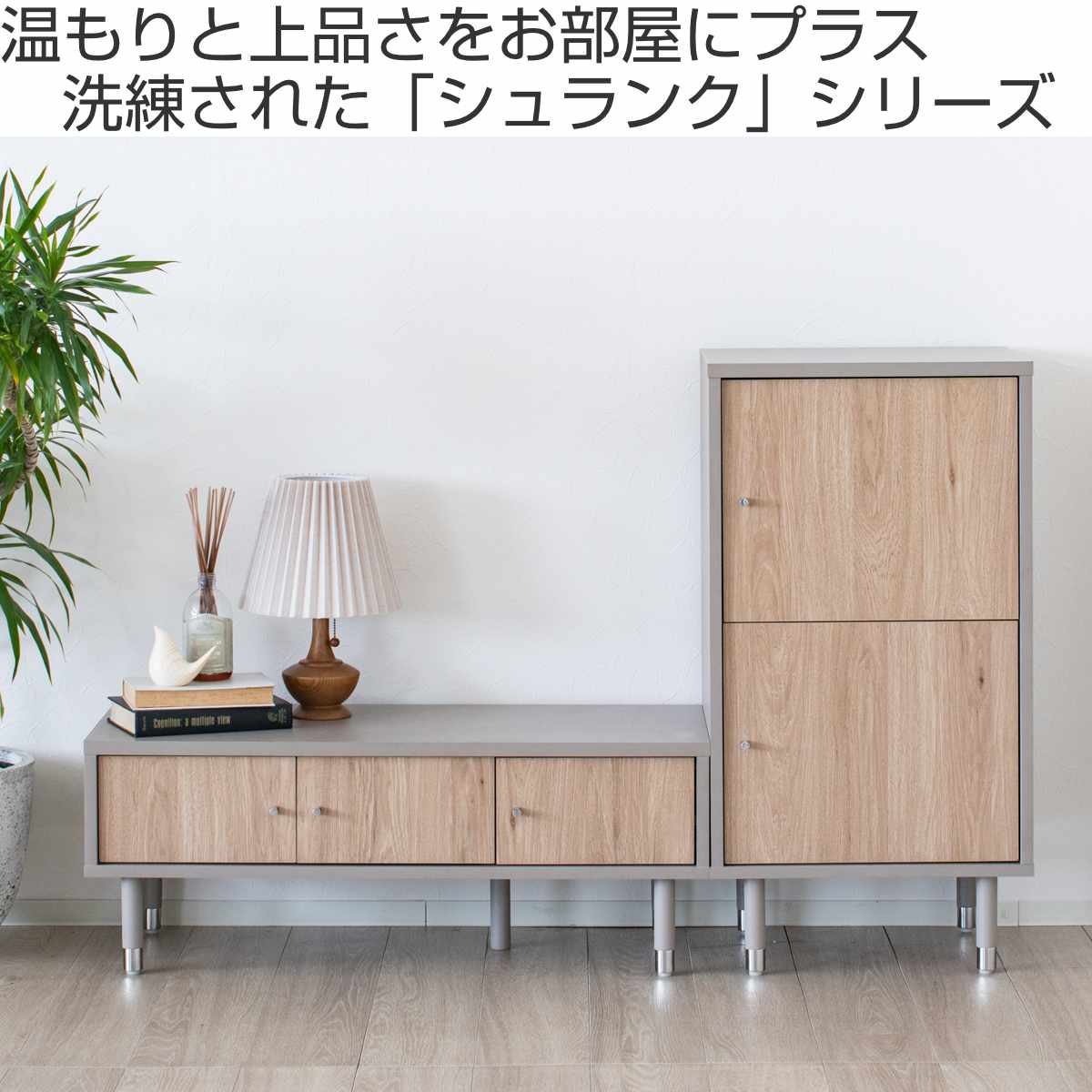 テレビ台 幅120cm 49インチ対応 ツートンカラー シルバー脚 （ 49型