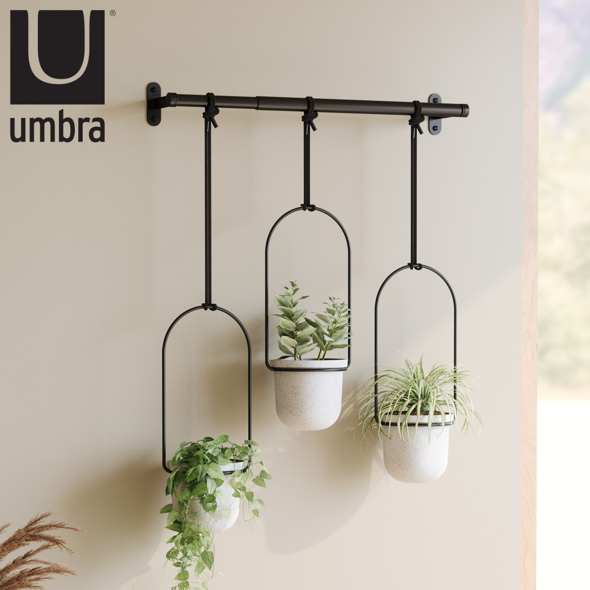 Umbra（アンブラ） プランター トリフローラ ハンキングプランター
