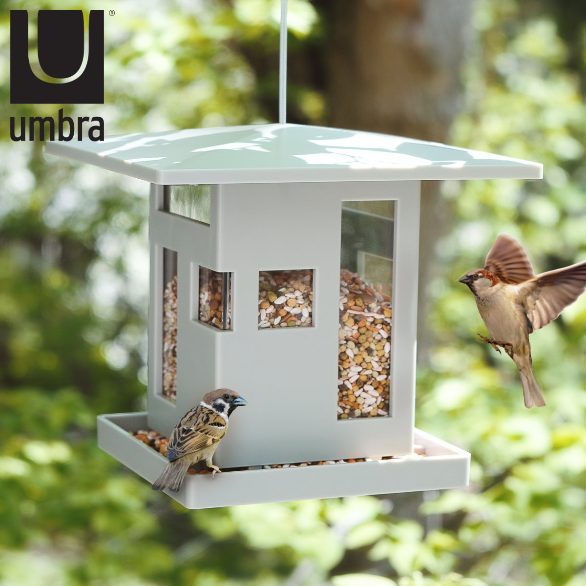 Umbra（アンブラ） バードフィーダー バードカフェ （ 野鳥 小鳥 鳥の