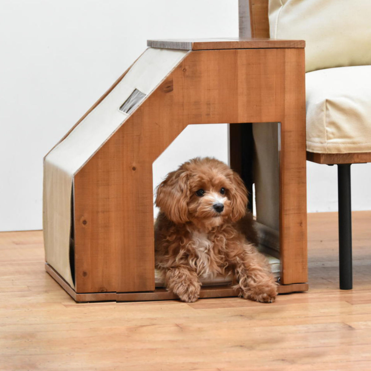 ペットベッド infinite ペットハウス （ ペット ベッド ペット用 犬 猫