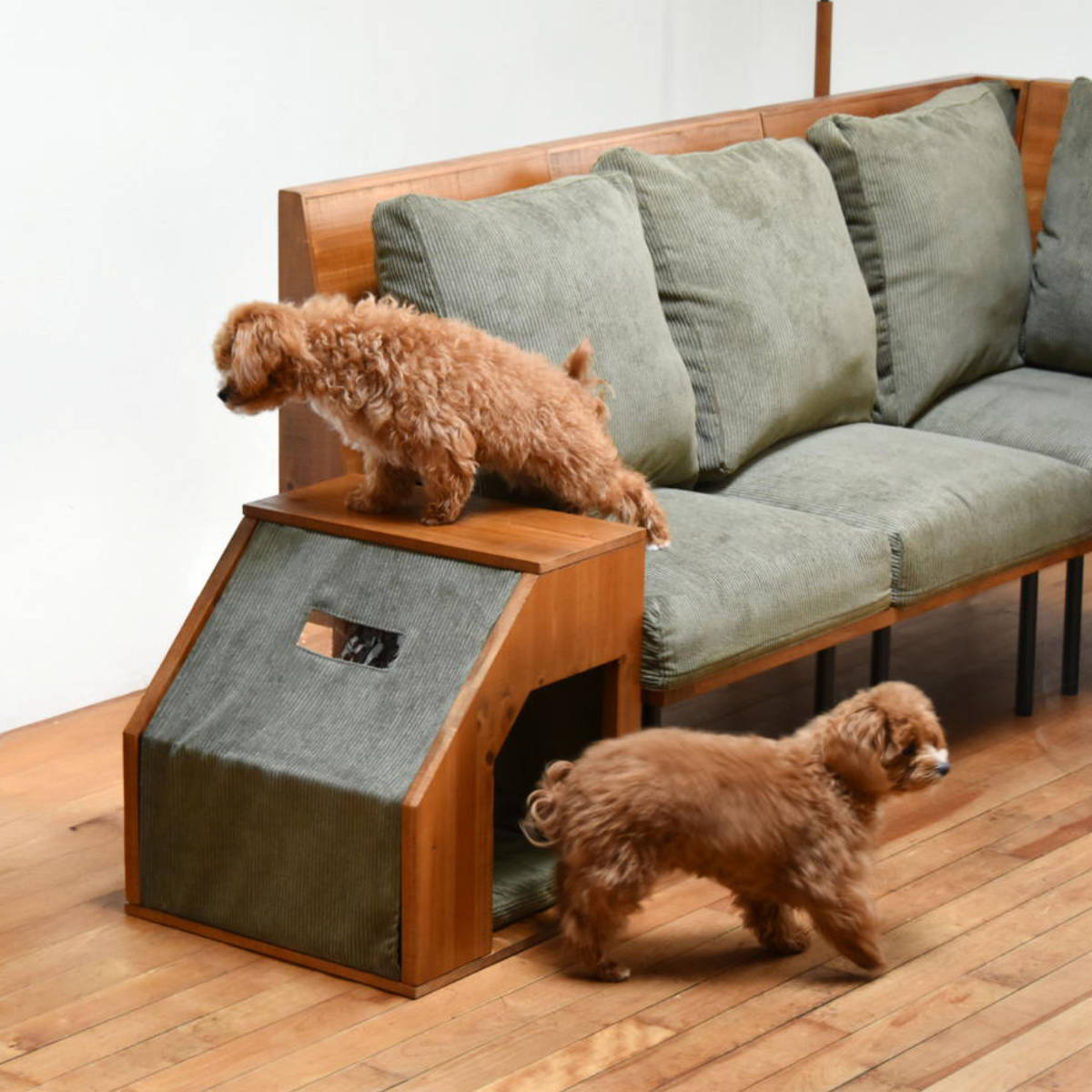 ペットベッド infinite ペットハウス （ ペット ベッド ペット用 犬 猫