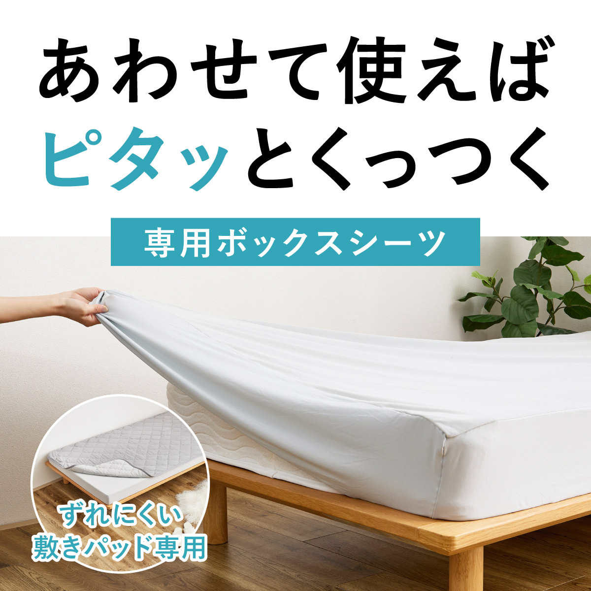 ボックスシーツ単品 シングル ズレない敷きパッド ピターら （ PITARA