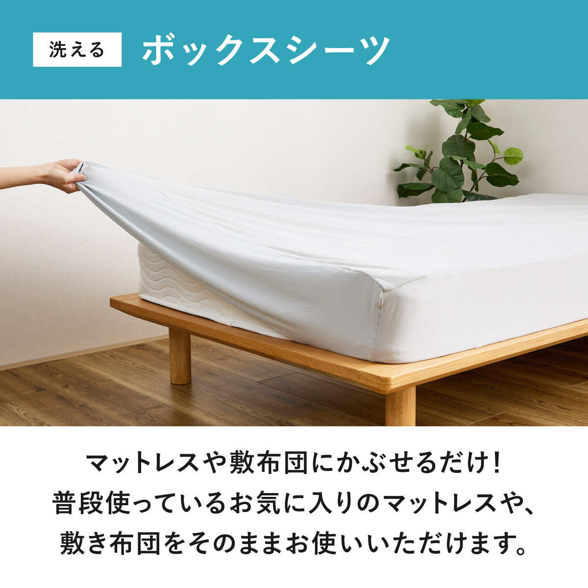ボックスシーツ単品 シングル ズレない敷きパッド ピターら （ PITARA