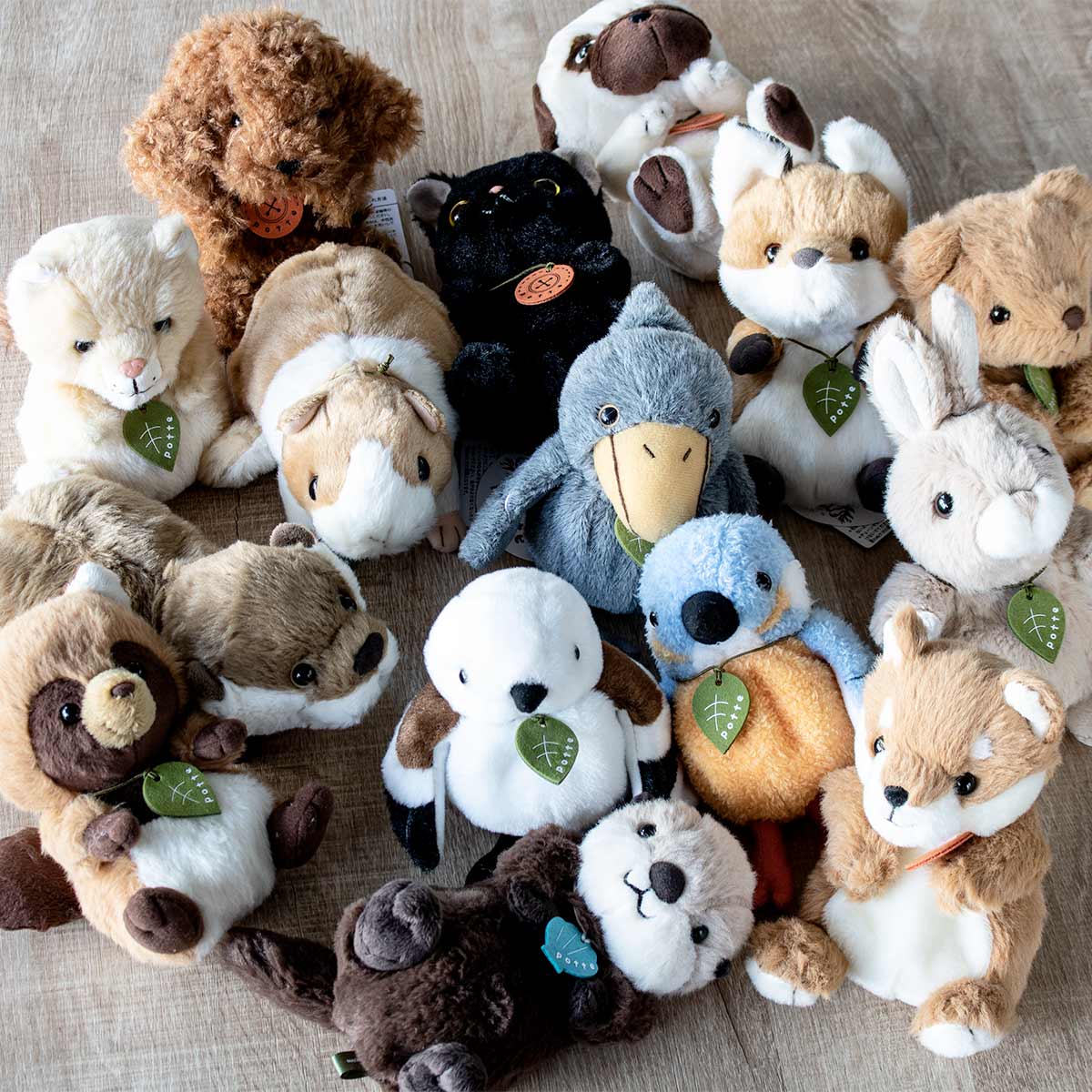 Sun Arrow（サン・アロー） ぬいぐるみ potte ショウガラゴ