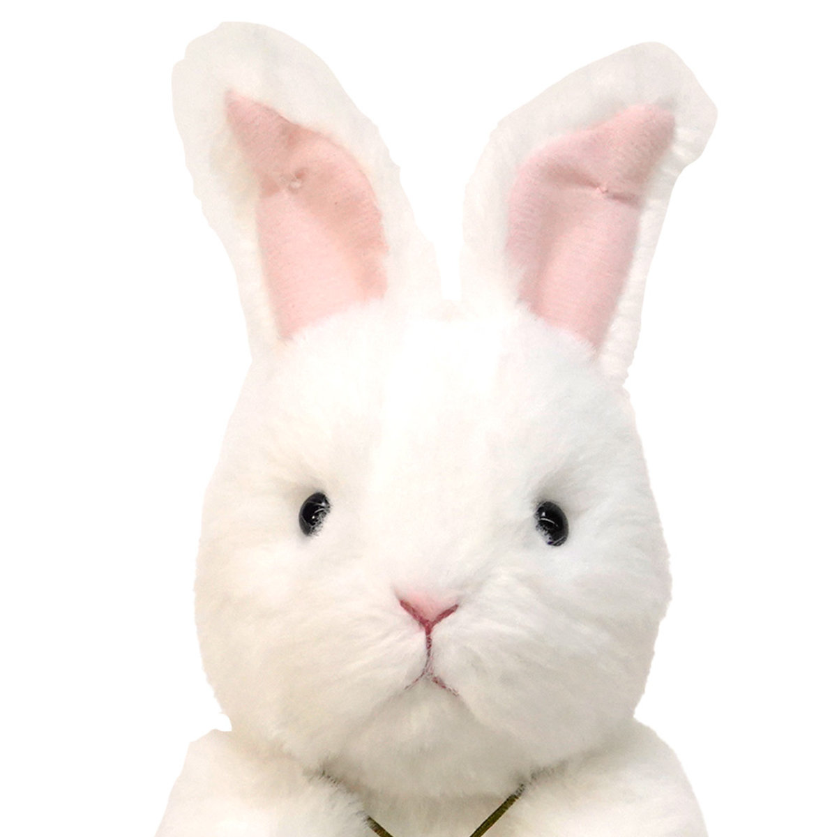 アンゴラウサギ ぬいぐるみ うさぎ セット Amazon.co.jp: ニキ NICI アンゴラ ウサギ ペンケース