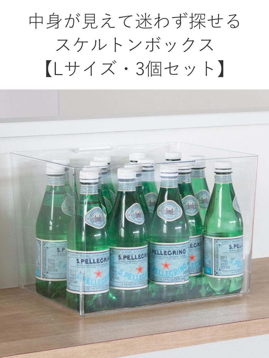 SANKA 収納ボックス スケルトンボックス L クリア 3個セット 幅35×奥行