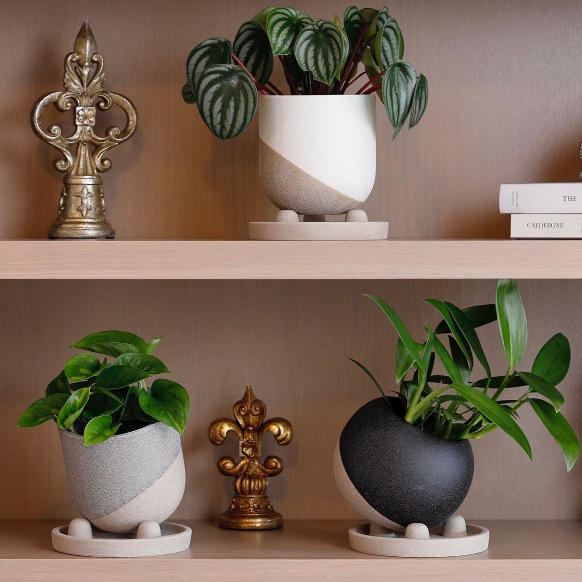 植木鉢 レヒーポット Dタイプ 受け皿付き （ フラワーポット プラント