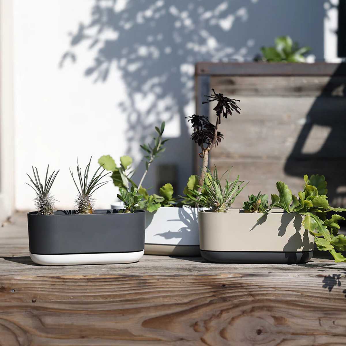 Chez mois　Maison planter　プランター　植木鉢　家　2個 magnet プランター エスジーアイプランター オーバル 受け皿付き