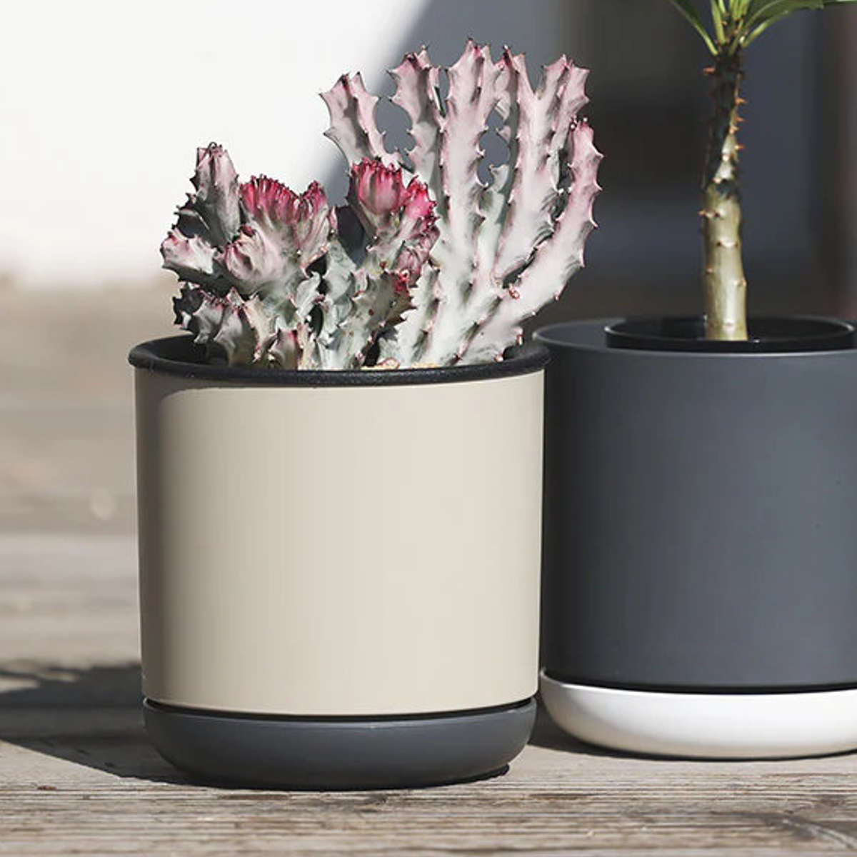 magnet 植木鉢 エスジーアイポット S 5号 受け皿付き （ フラワー