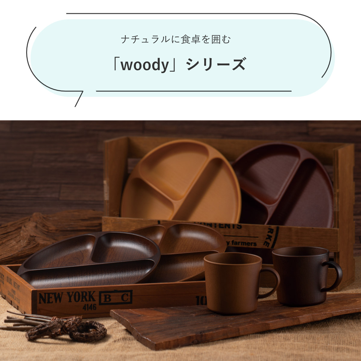カノー ランチプレート Woody 抗菌 すくえる丸ランチプレート （ 電子