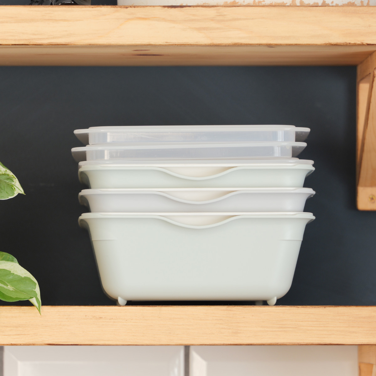 9個セットザル 抗菌 深型 ブルー アシスト 47型 日本製 【公式通販】