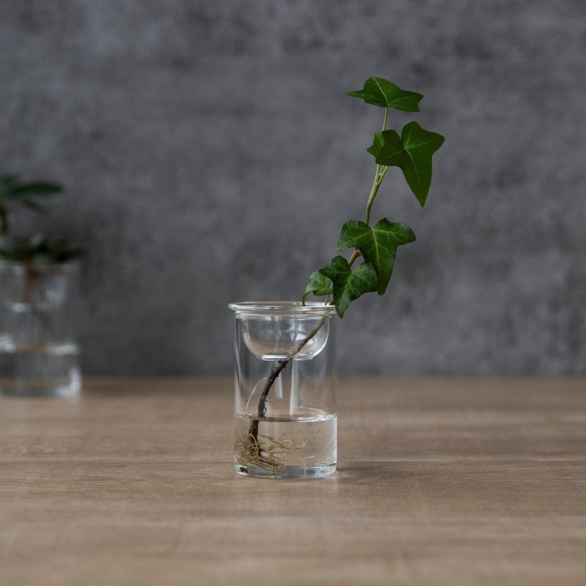 花瓶 MINI BULB VASE 水栽培ガラスベース 7cm 水耕栽培 （ 花器 ガラス