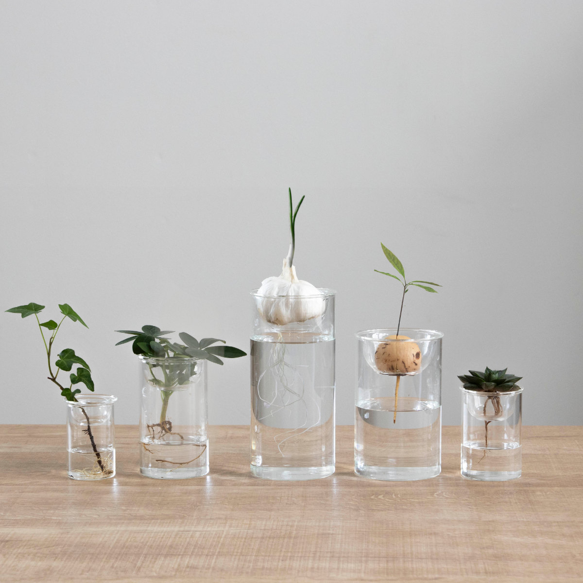 花瓶 MINI BULB VASE 水栽培ガラスベース 11cm 水耕栽培 （ 花器