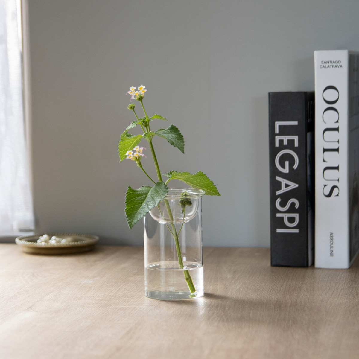 花瓶 MINI BULB VASE 水栽培ガラスベース 11cm 水耕栽培 （ 花器