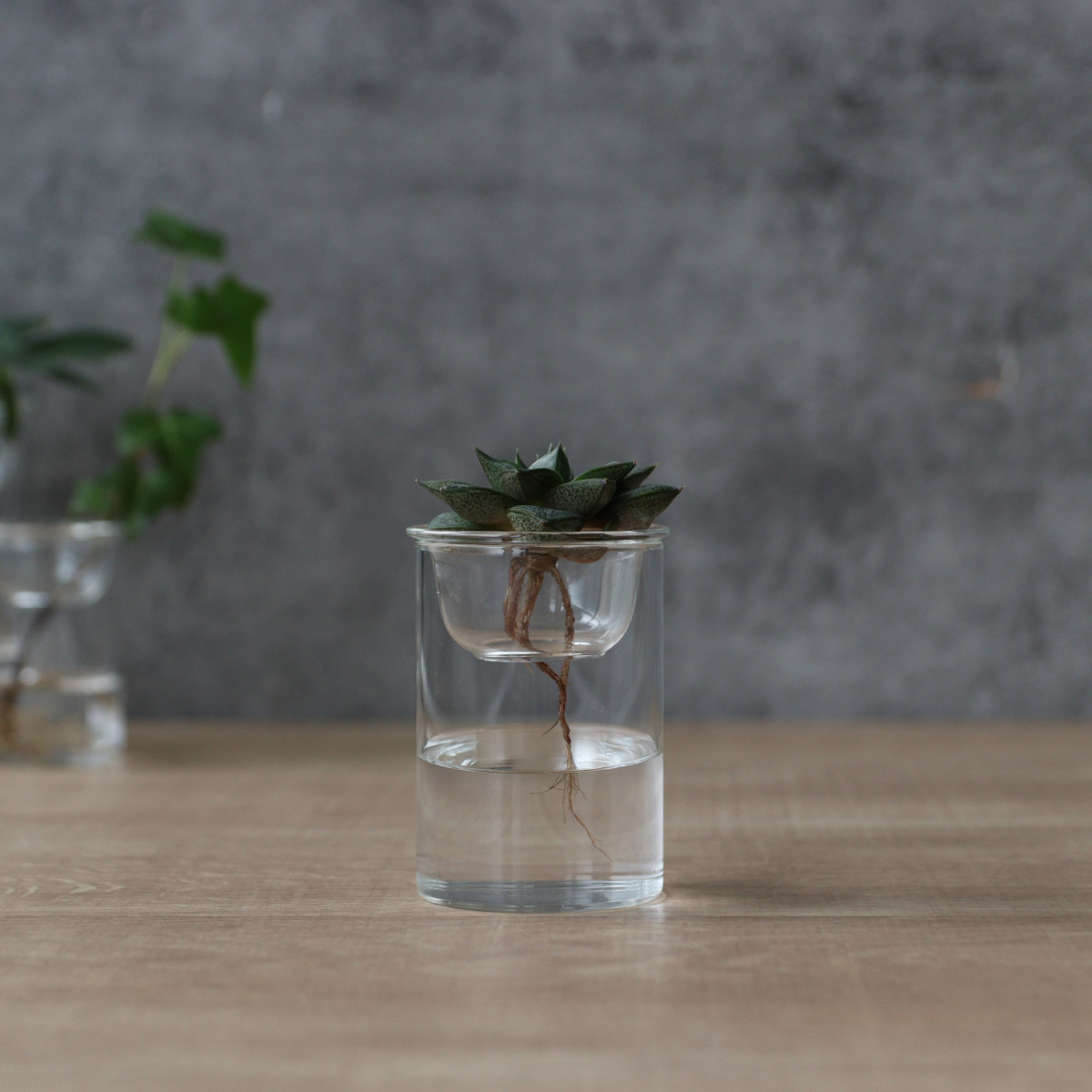 花瓶 MINI BULB VASE 水栽培ガラスベース 8.5cm 水耕栽培 （ 花器