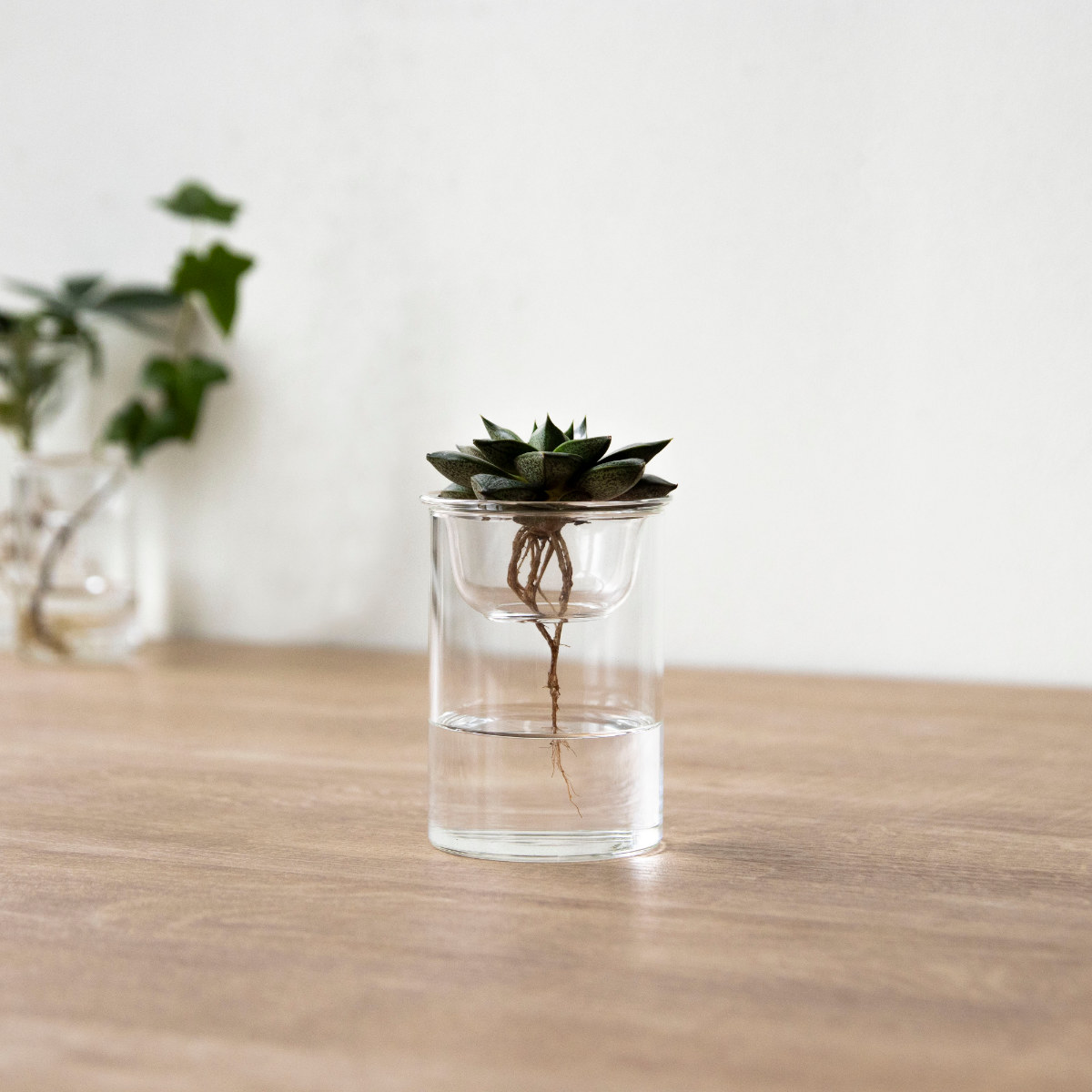 花瓶 MINI BULB VASE 水栽培ガラスベース 8.5cm 水耕栽培 （ 花器