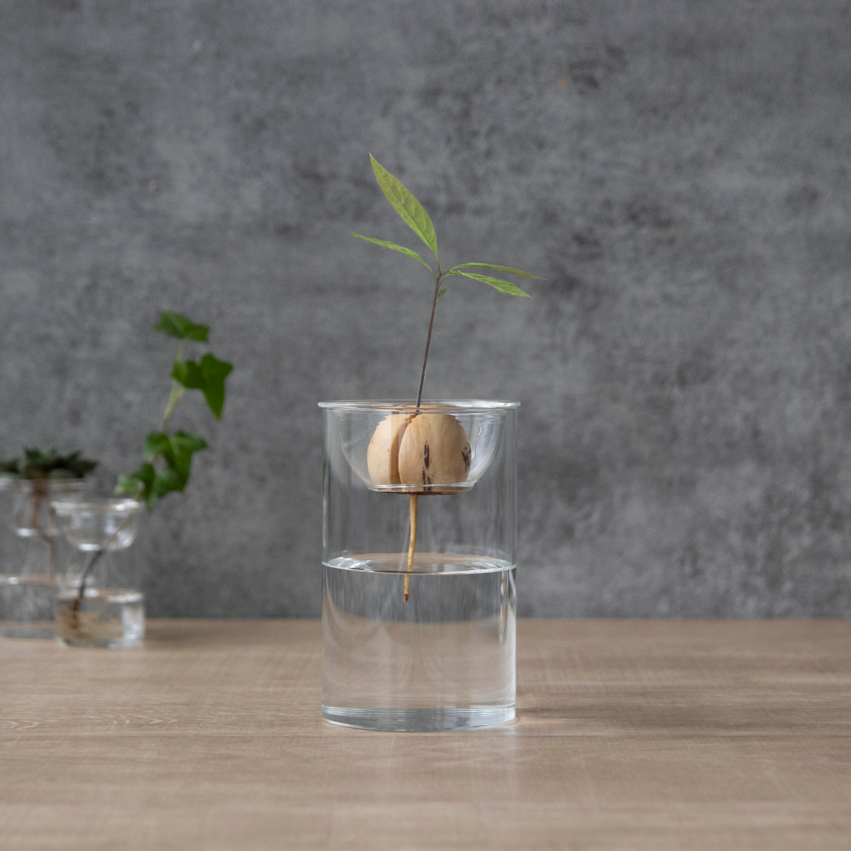 花瓶 BULB VASE 水栽培ガラスベース ショート 水耕栽培 （ 花器 ガラス