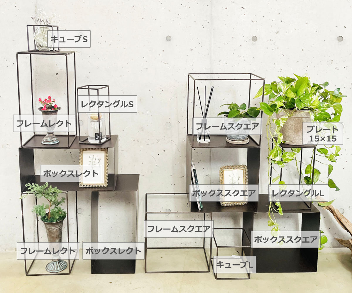 フレーム ジョセフアイアン ディスプレイワイヤーフレーム キューブ S