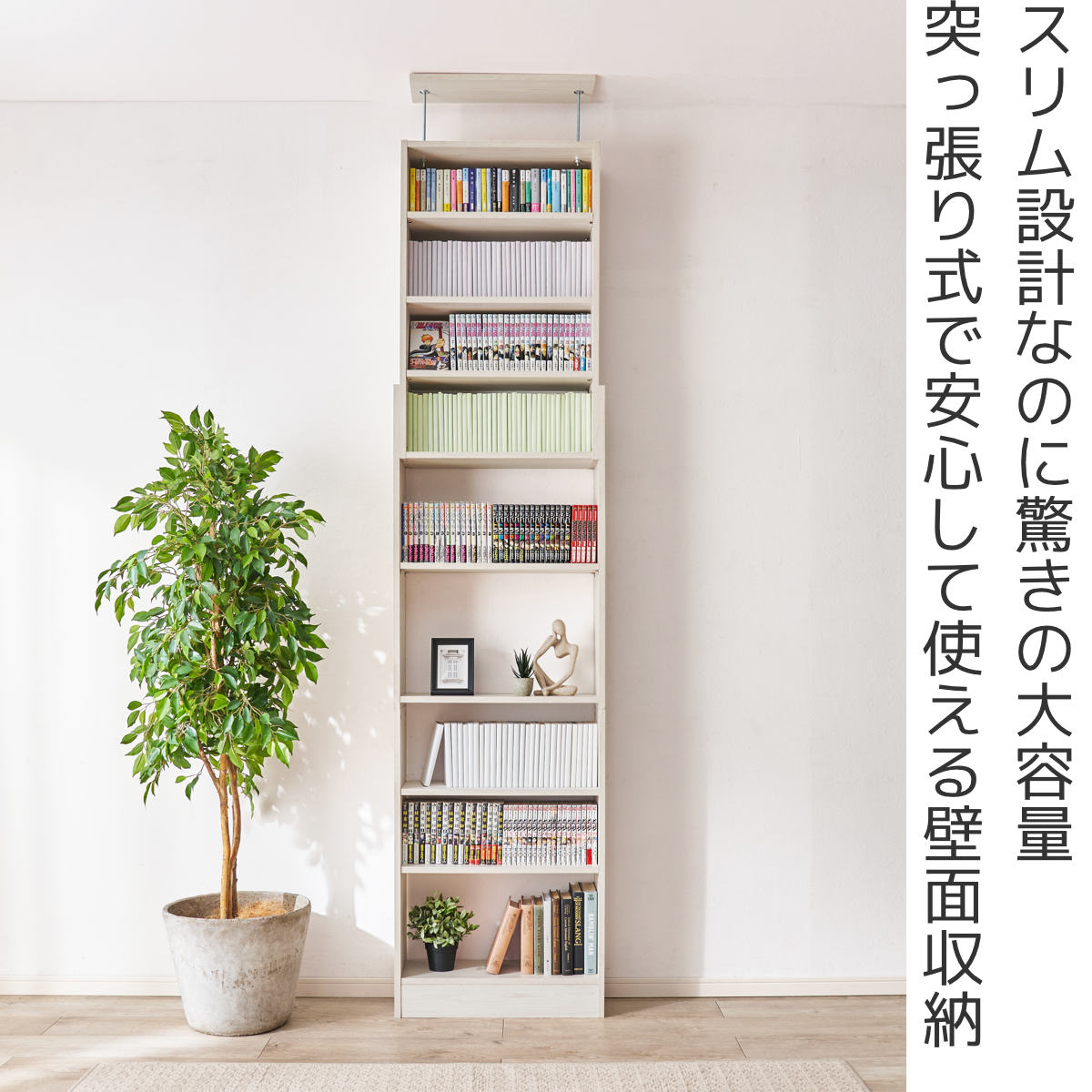 HAGiHARA（萩原） 突っ張り 壁面収納ラック 幅60cm 頑丈 大容量