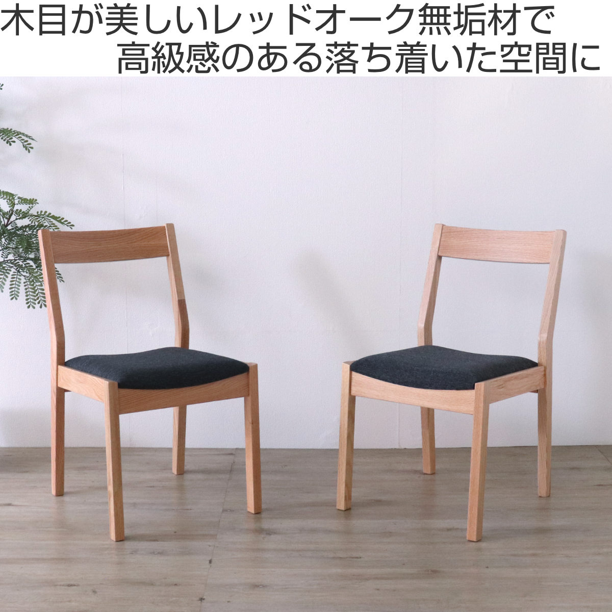 ダイニングチェア 同色2脚セット 座面高44cm デュエ2 （ オーク レッド 