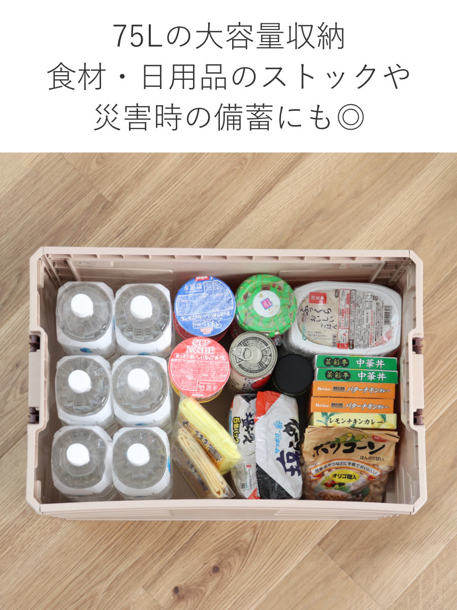 天板付コンテナボックス L 収納ボックス （ 収納ケース 収納 ボックス