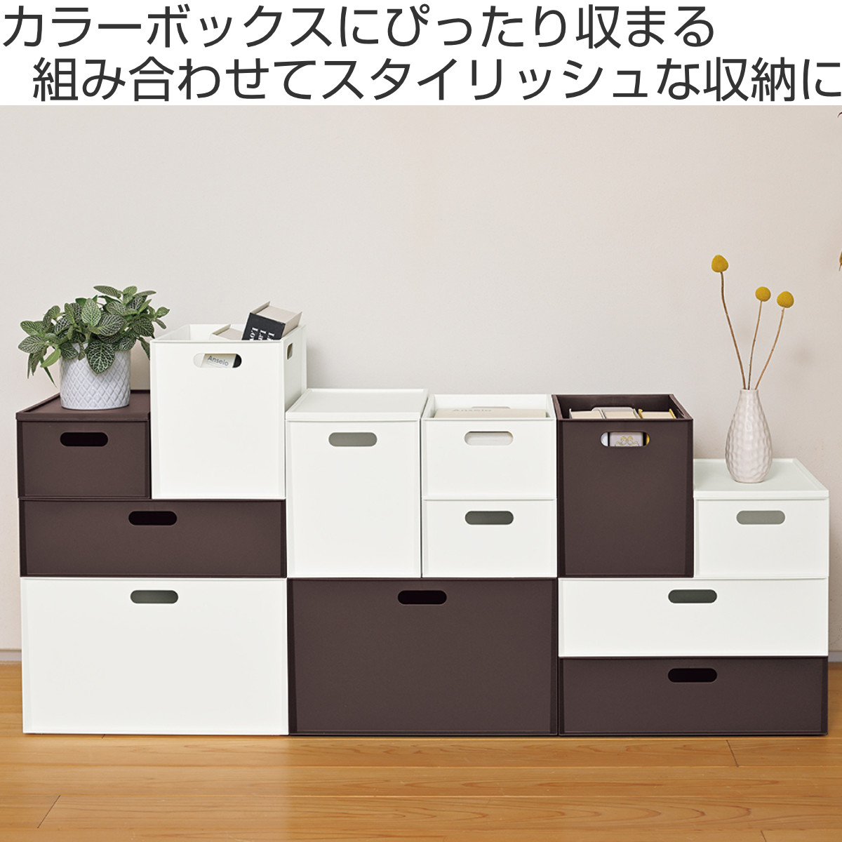 JEJアステージ 収納ボックス カロキューブ 縦型ハーフ カラーボックス