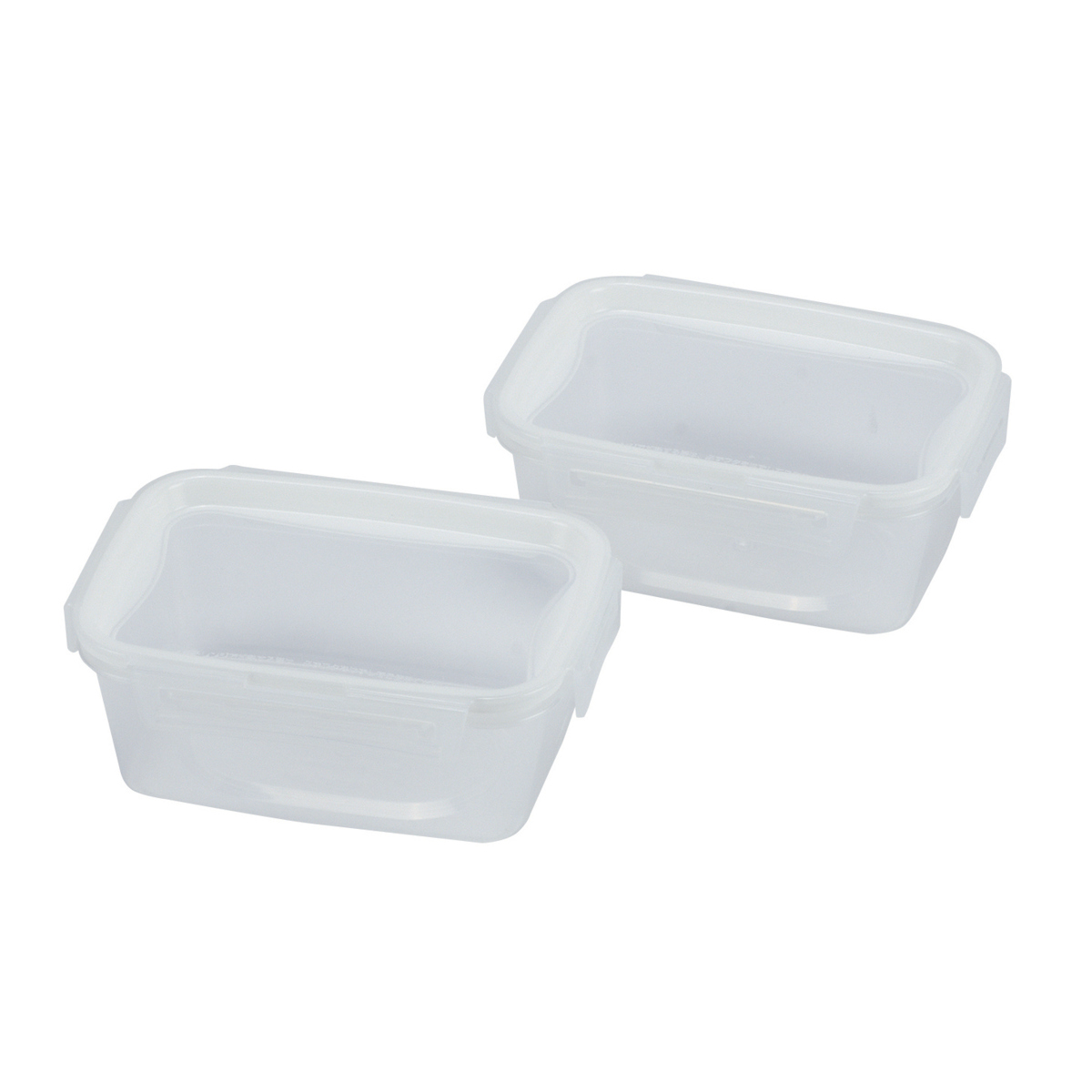 パール金属 保存容器 ネオキープロック 長方形 L 2個組 （ 容器 フード
