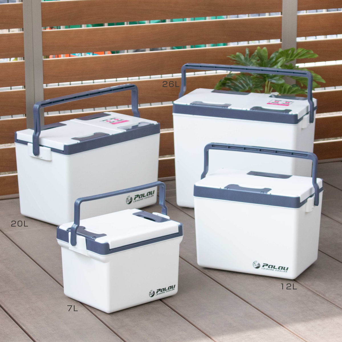 SANKA クーラーボックス 12L レジャークーラー パラオ 小型 （ 保冷