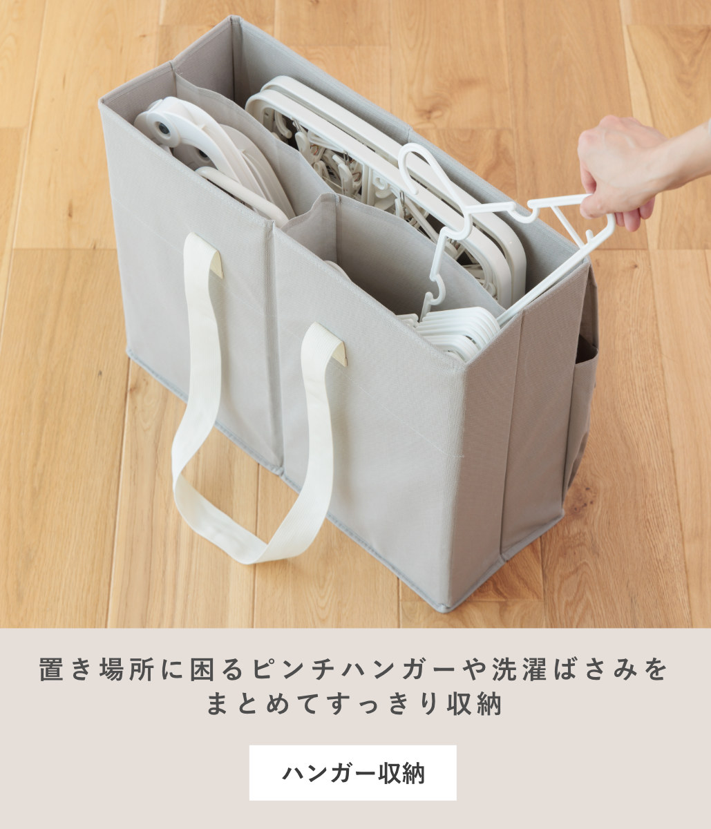アイメディア 収納ボックス Snimu ハンガー収納 洗濯用品 洗濯用具収納