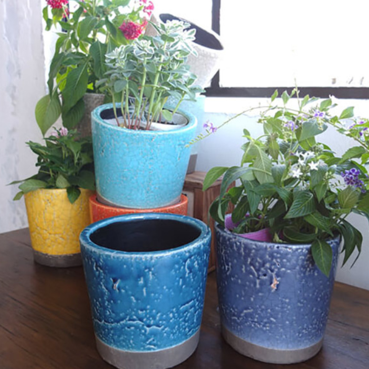 【るな】フラワーポット　5個セット るな】フラワーポット 5個セット るな】フラワーポット 5個セット るな