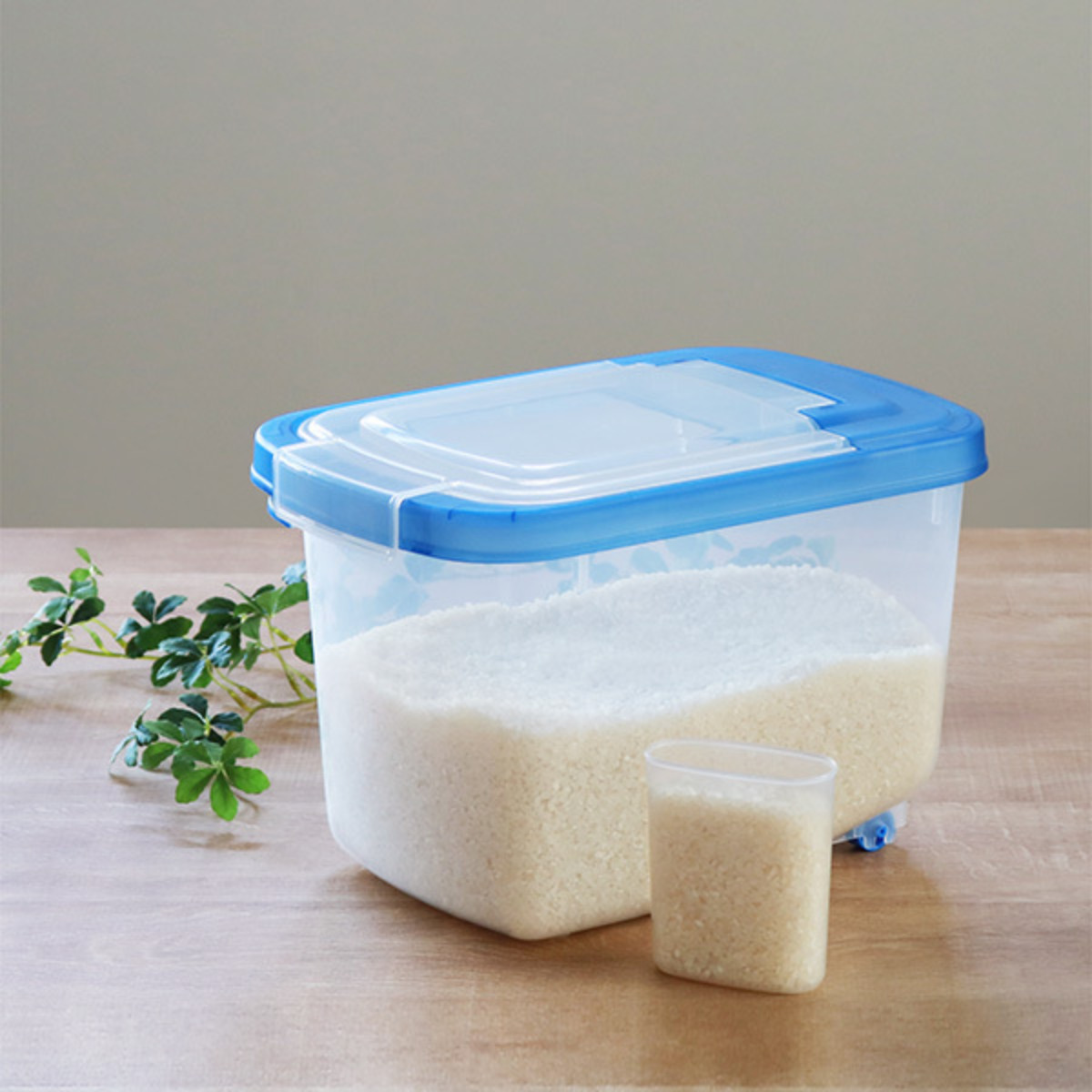 米びつ 5kg用 キャスター付き スライド米びつ （ 米櫃 こめびつ ライス