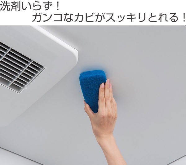 バススポンジ お風呂のカビとります （ 風呂用スポンジ バス用品