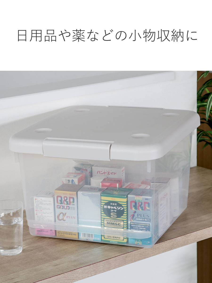 天馬 収納ボックス 35M とっても便利箱 フタ付き （ 幅35×奥行40×高さ