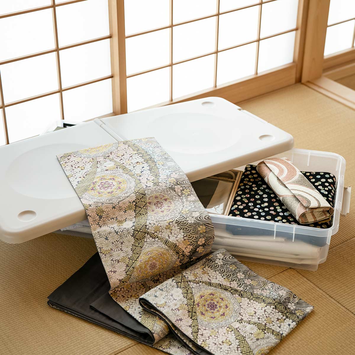 天馬 収納ボックス 45S ロング とっても便利箱 フタ付き （ 幅45×奥行